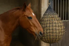 De ultieme handleiding voor het gebruik van een slowfeeder hooinet