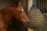 De ultieme handleiding voor het gebruik van een slowfeeder hooinet