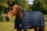 Waarom Lemieux paardendekens de ideale keuze zijn voor elk seizoen