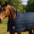 Gezonde en natuurlijke traktaties voor je paard: een uitgebreide verkenning
